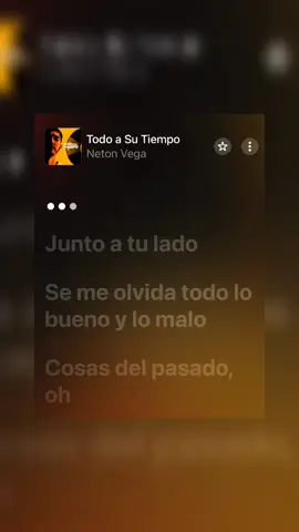 Se fue dando todo lo que hemos logrado❤️ #todoasutiempo #netonvega #paratii #letrasdecanciones #fypシ #lyrics #fypシ゚viral #paratii 