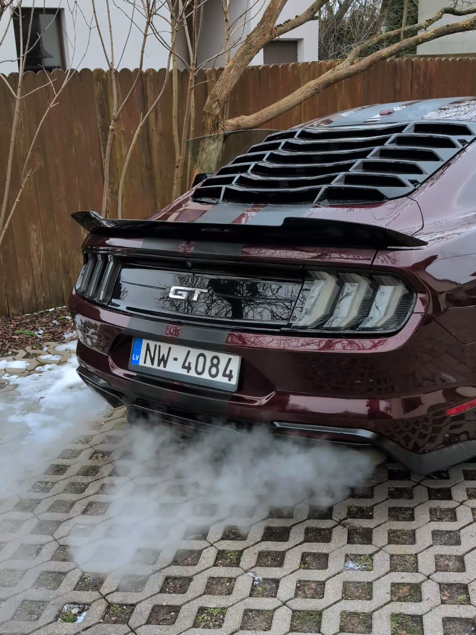 mustang gt cold start💪😎 #mustang #mustanggt #coldstart 