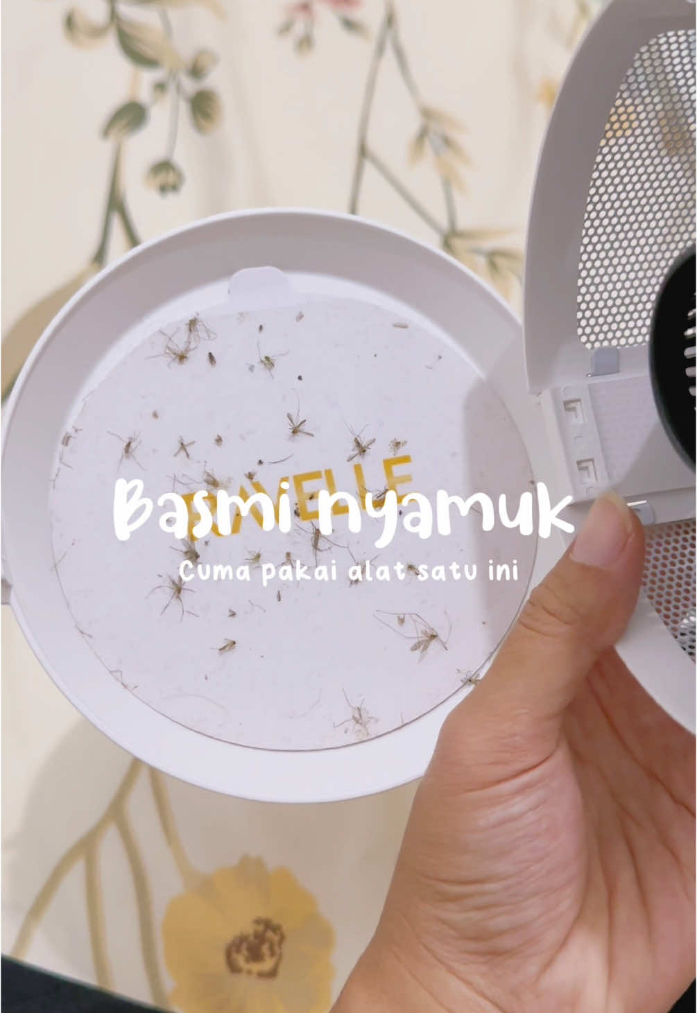 Semenjak punya ini ga perlu semprot2 ruangan pake cairan kimia lagi. #ravelle #mosquito #ravellemosquitotrap #nyamuk #perangkapnyamuk 
