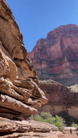 📍#GrandCanyon rafting offers unmatched views and heart-racing fun 🛶 This UNESCO World Heritage Site is one of the Seven Natural Wonders of the World 🌎 🎥 @danielledandreablack #grandcanyonrafting #explorecanyons #outdooradventure #waterfalls