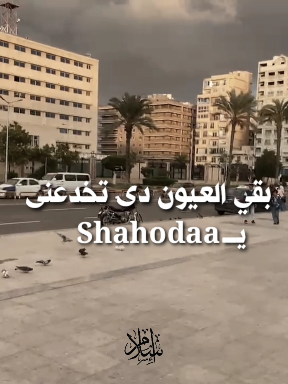 بقي العيون دى تخدعني || احمد عامر❤️  #احمد_عامر #احمد_عامر🖤🖤 #tutorial #fyp #2025 #شهد #shahoda  #viralvideos #fyyyyyyyyyyyyyyyy#status  #تريند_التيك_توك #shahd 