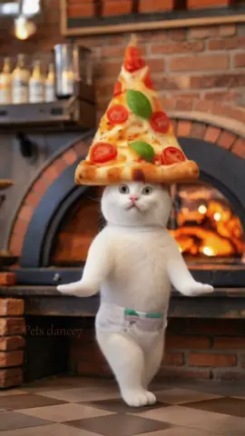 #catdance #petdance #trending #pizza #funny 