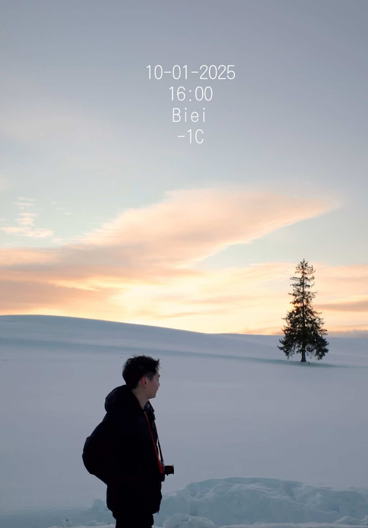 ที่ Biei, Hokkaido เวลา 16:00 หนาวดี คนเยอะ #Biei #クリスマスツリーの木 #weatherreport 