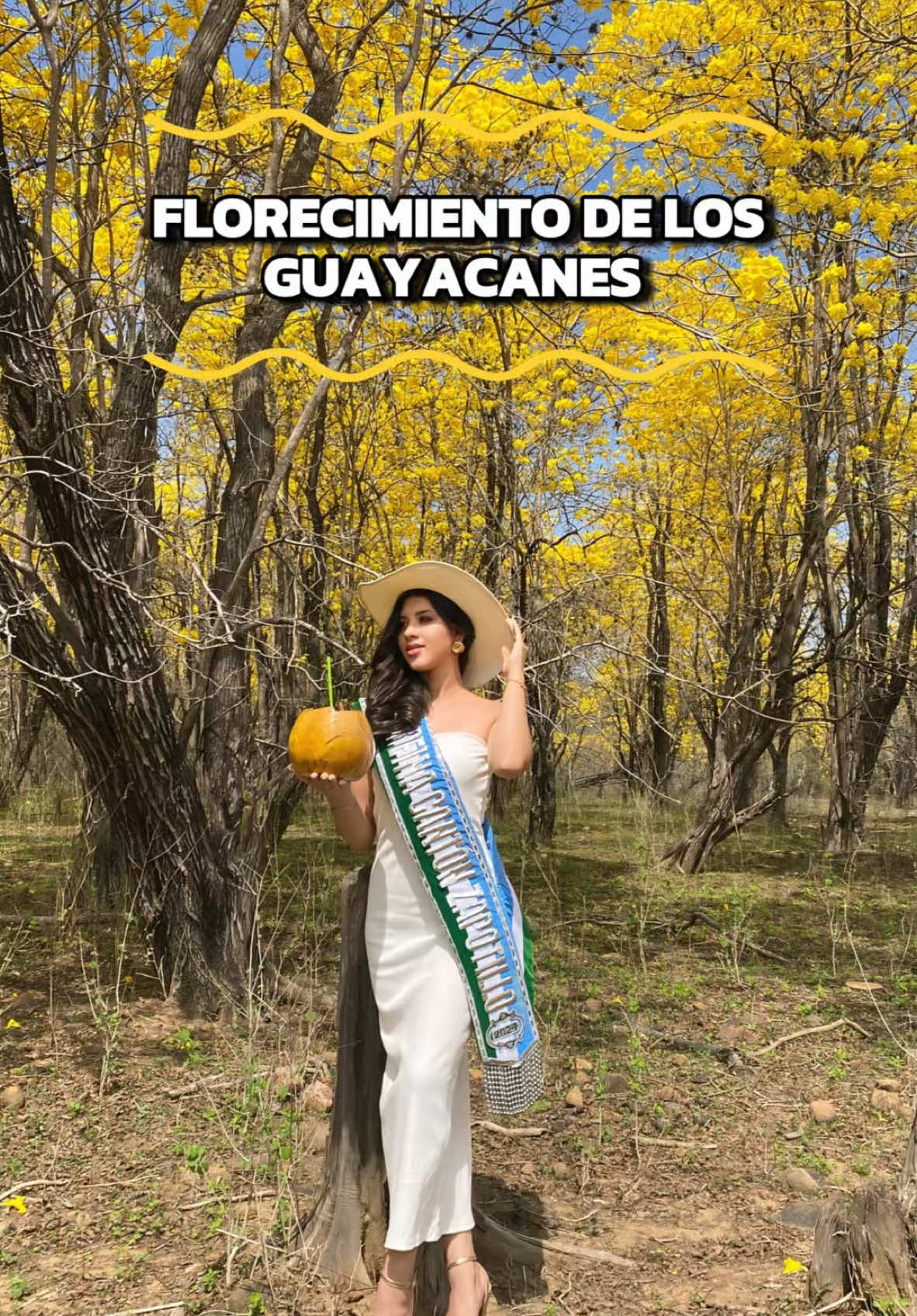 🟡¡Vive el esplendor del florecimiento de los Guayacanes! 👑Como Reina de nuestro hermoso cantón Zapotillo, tengo el honor de invitarte a disfrutar de uno de los espectáculos naturales más impresionantes: el florecimiento de los Guayacanes. Nuestro paisaje se viste de oro, creando un escenario único que debes conocer. ✨vive esta experiencia inolvidable en Zapotillo. ¡Te esperamos para compartir lo mejor de nuestra tierra contigo! 🫶Con cariño, Britani Fernanda Noriega Zapata Reina del Cantón Zapotillo.  #turismoecuadorprimero #turismoecuador  #guayacanes2025 #guayacanes #cazaderos #Zapotillo mas que guayacanes variedad.#fronterasurtv 