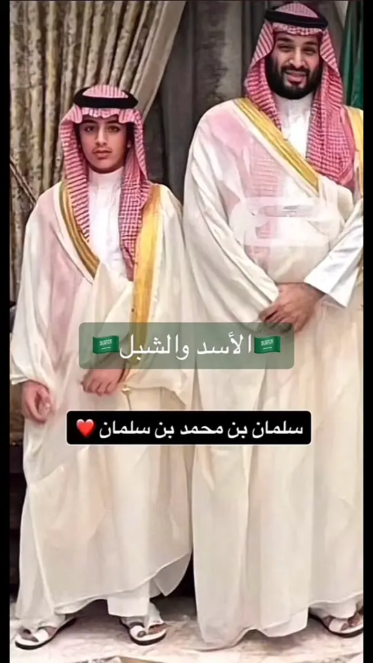 🇸🇦🇸🇦الشبل ولاسد 🇸🇦🇸🇦