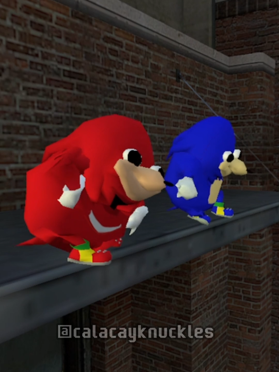 MARSELO 🗣️🔥 #gmod #juego #amigos #knuckles #marselo #fyp #humor #memestiktok #calaca #knuckles #calacayknuckles 