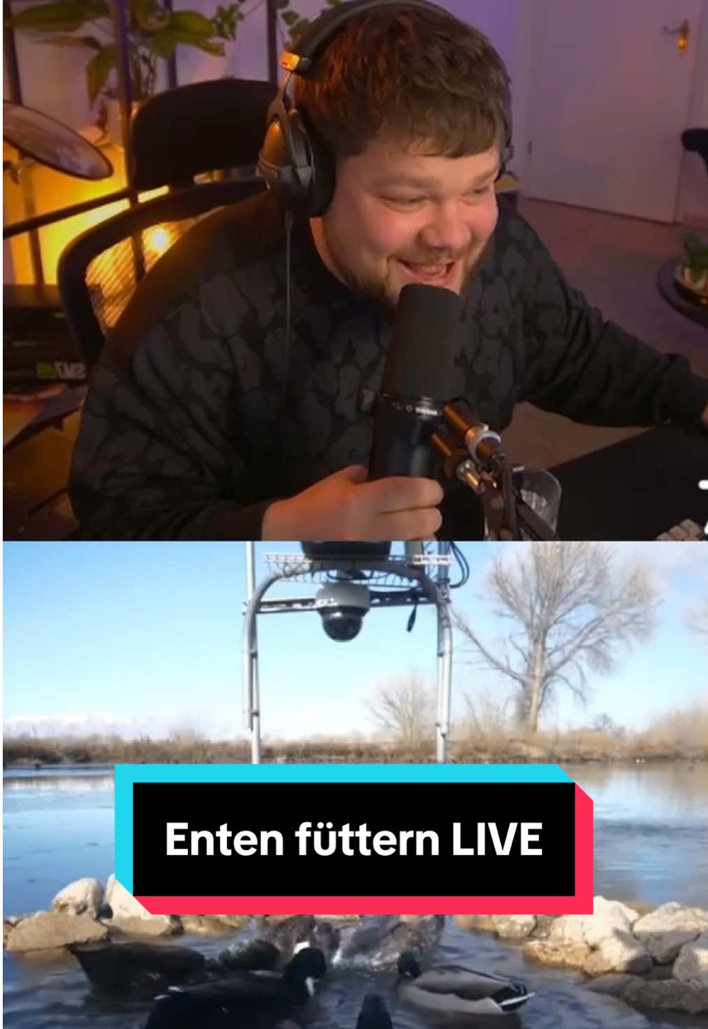 Man kann auf Twitch Enten füttern 😂 #ente #füttern #haha #fyp 