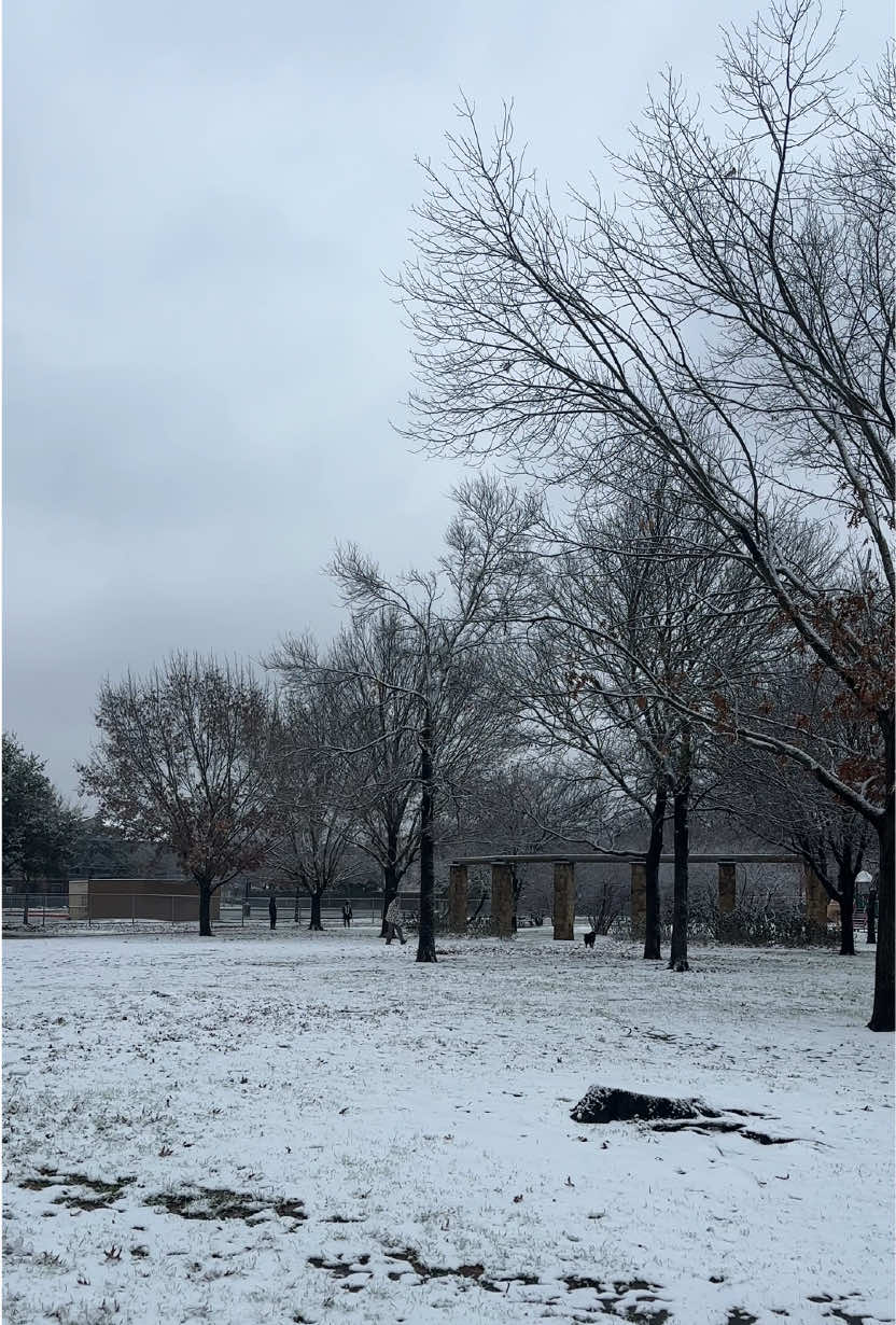 Lower Greenville got a bit of frosting ☃️ We hope everyone is staying warm and safe.  #visitdallas #dallastexas #dallaska 