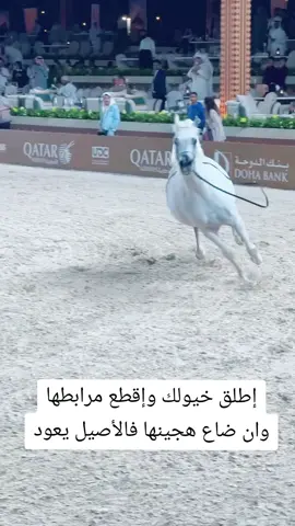 #خيل_عربي #خيل_عربي_اصيل #اكسبلور #فروسية #الشعب_الصيني_ماله_حل😂😂 #أكسبلور_تيك_توك #أكسبل #حصان #ترند_تيك_توك_مشاهير #ترند 