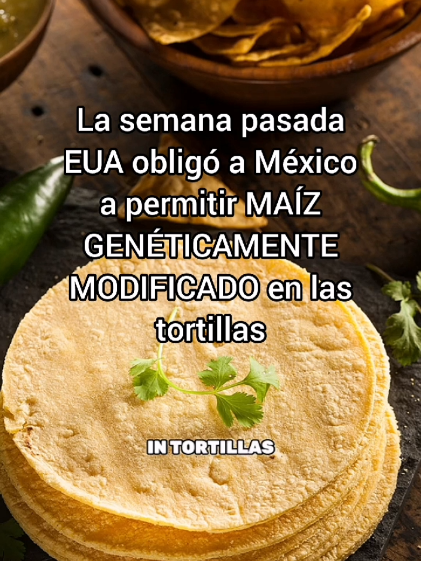 #maiz #gmo #ogm #tortillas #monsanto #bayer #glifosato #roundup #cancer #mexico  @Hormone Specialist 