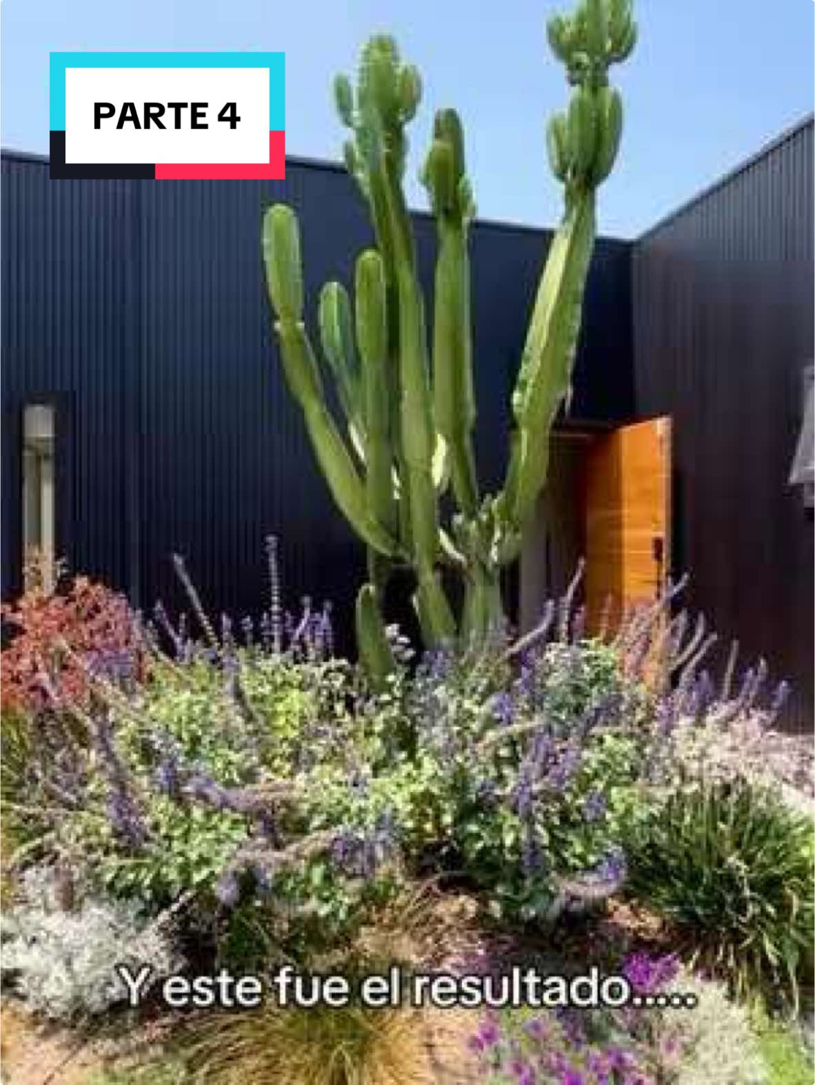 Por fin la PARTE 3 de la renovación de la casa!!! 🎉🎉🎉#antesydespues #remodelacion #casaabandonada #transformacion #viral #paisajismo #arquitectura #arq #diseno #interiorismo #piscina #cactus #plantas #casa #chile #santiago 