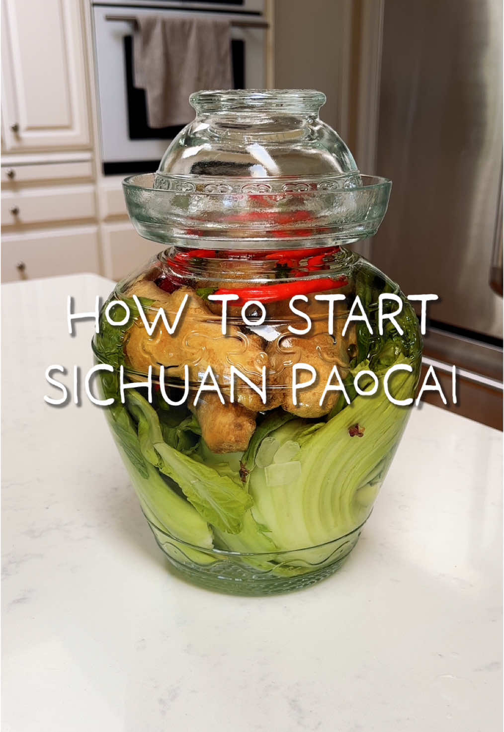 How to make Sichuan paocai (Infinite Pickles) 🥒🫙 My family in Sichuan maintain paocai jars with brine as old as 120 years, but it’s also simple to start one from scratch. Get the recipe guide on my blog https://daywithmei.com I also talk paocai styles and analyze several other paocai recipes in my latest substack post, link to my newsletter in bio 📥