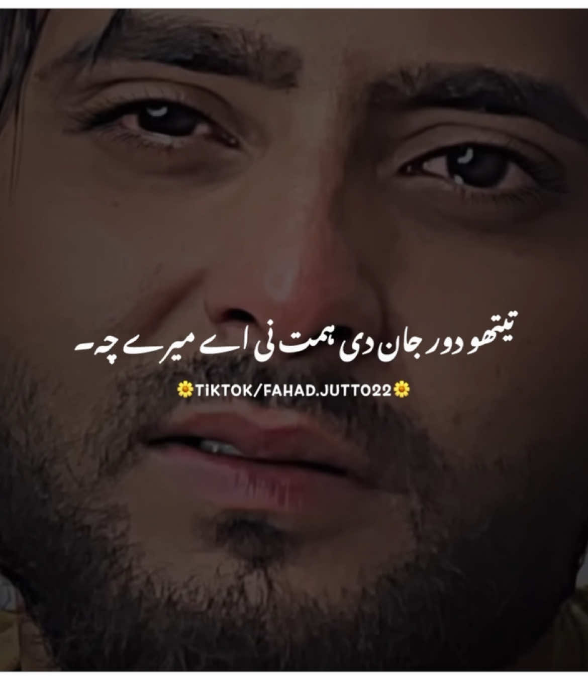 Himat Ni Ay Meri 🥹❤️‍🩹 #foryou #foryoupage #fypシ #viral_video_tiktok #burhan_tv #fypシ゚ #viral #punjabipoetry #fahadwrites022 