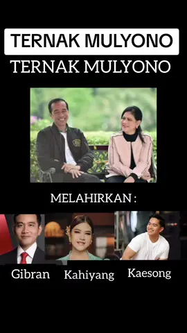Antara Ternak Mulyono, anak banteng & anak onta.  #ternakmulyono #mulyono #anakbanteng #anakonta #usil 