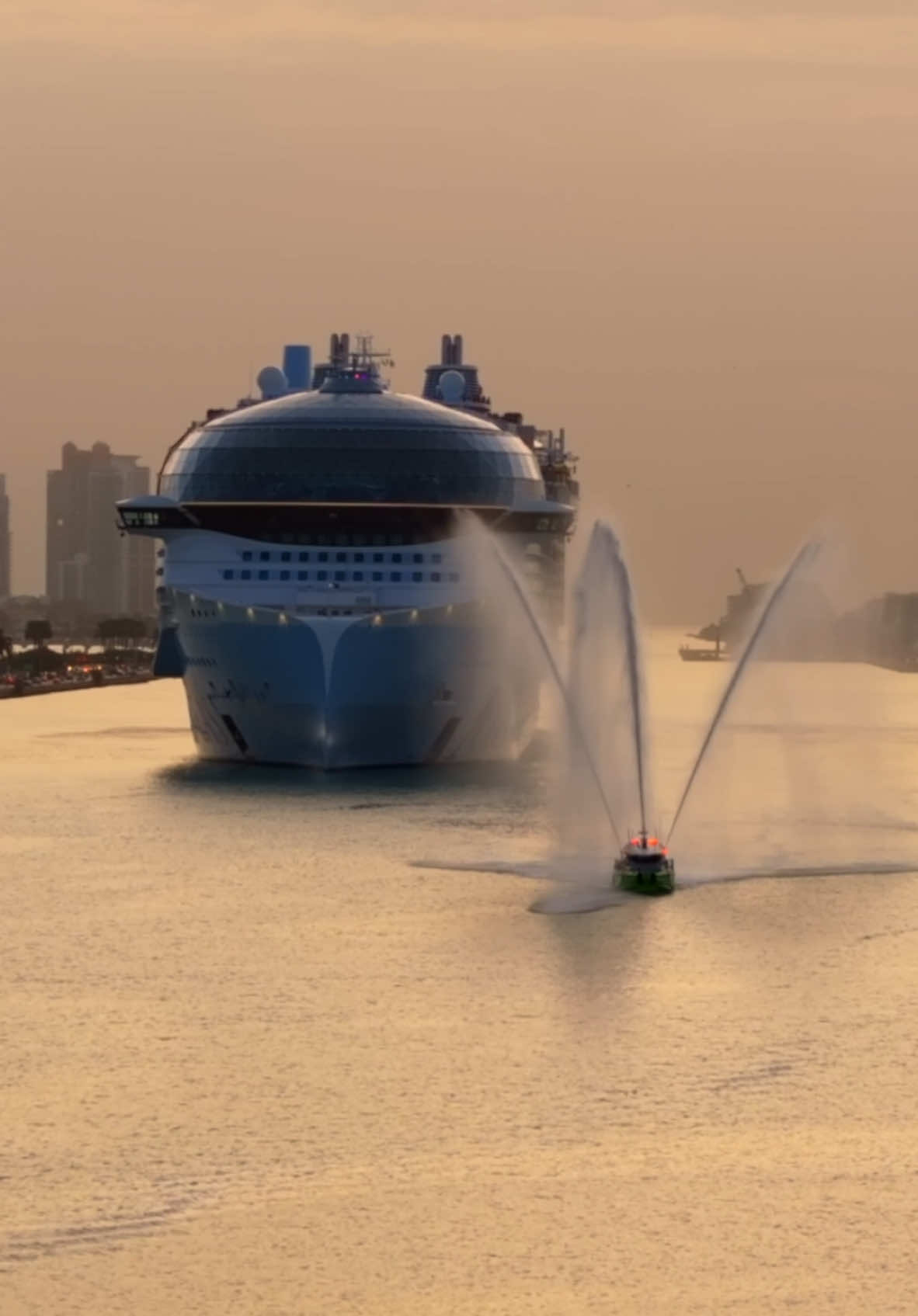 The World’s Biggest Cruiseship arrived in Miami for the first time!  #iconoftheseas #icon #royalcaribbean #miami #cruises #cruiseships 