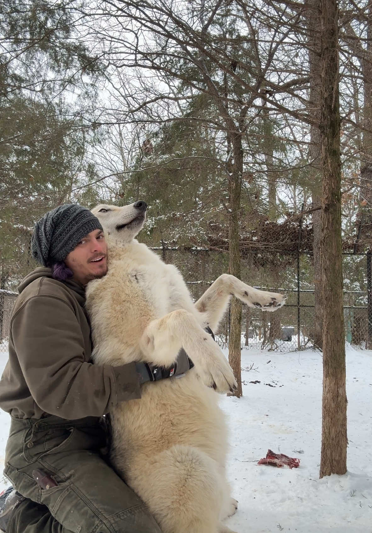 Oh just some Odin fun in the snow. 