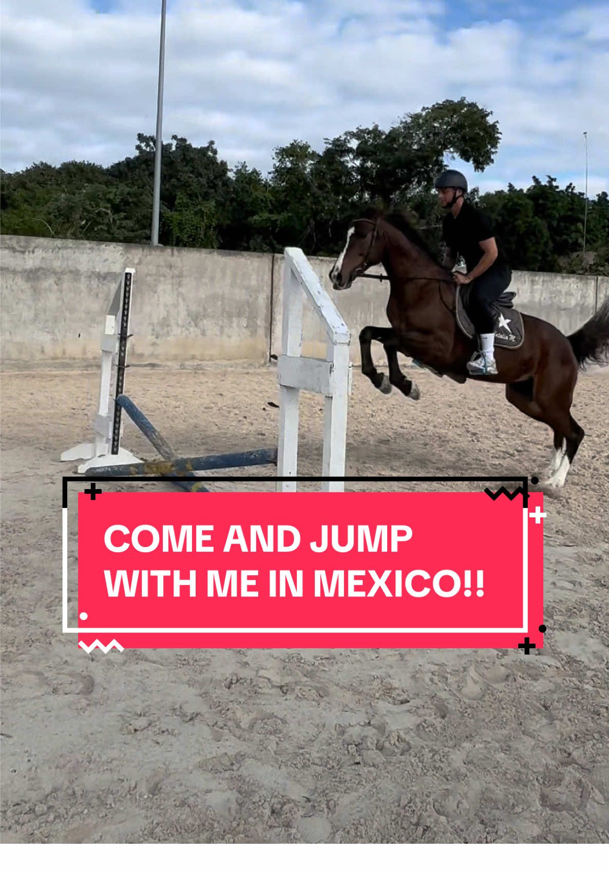 New horse from Mexico??👀🐴 @nataliamedina.eq @isabella_medina @Mia Mason #fyp #foryoupagе #equestrian #horsesoftiktok #horseboy #horsegirl #equestrianlife #equestrianvibes #horsetok #showjumping #CapCut 