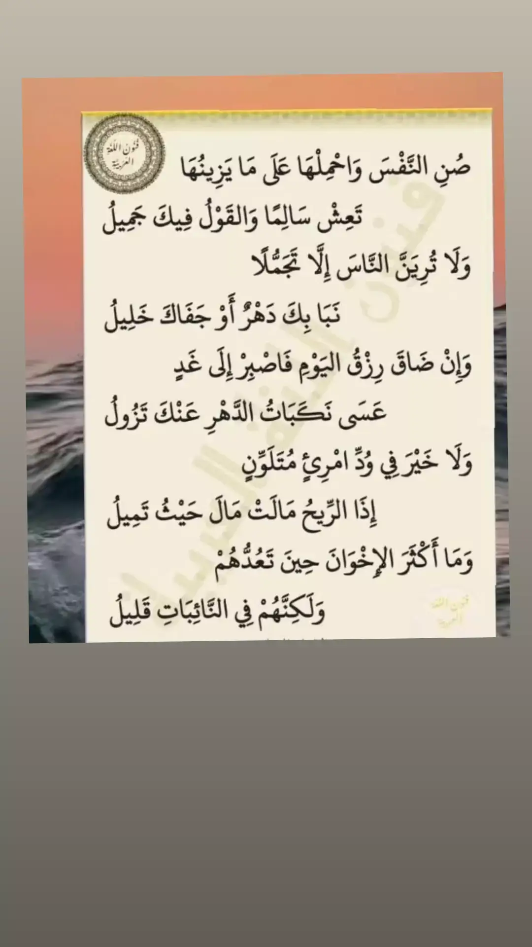 #كلام_من_القلب  #الشعب_الصيني_ماله_حل😂😂 