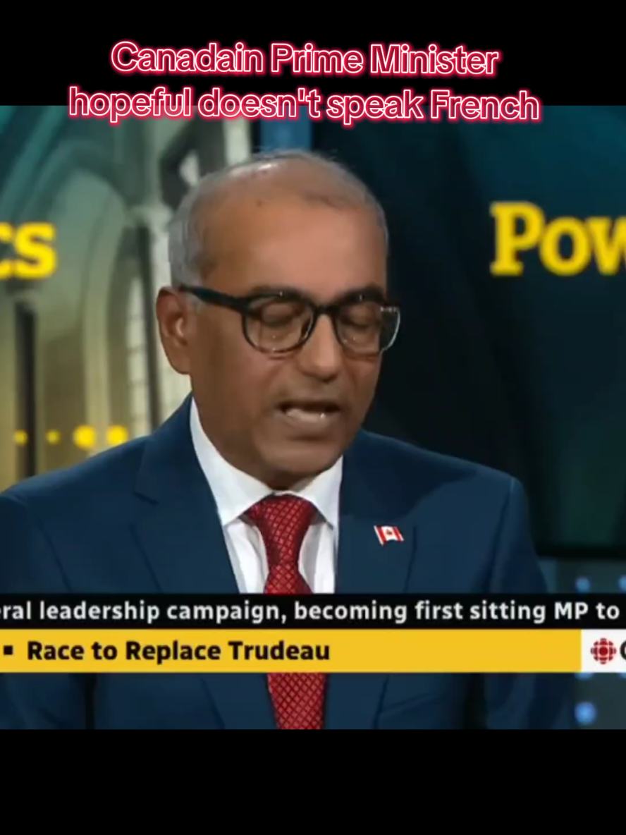 what are your thoughts on this? I would love if people from Quebec could tell me how they feel about this. liberal party leader hopeful Chandra Arya #primeminister #canadiangovernment #inflation #frenchcanadian #bilingual 