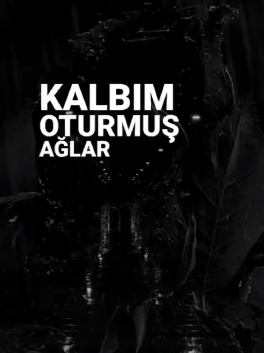 Kalbim oturmuş ağlar🥀 Denizun suyi biter Benum dertlerum bitmez, Benum dertlerum bitmez, Benum dertlerum bitmez. Bağruna Taş Olurum Gözune Yaş Olurum, Gözune Yaş Olurum, Gözune Yaş Olurum. Gözde Yaş Akmaz ama Kalbim Oturmuş Ağlar, Kalbim Oturmuş Ağlar, Kalbim Oturmuş Ağlar. #kaletürküsü #türkü  #denizunsuyubiterbenumdertlerumbitmez #bitmez  #denizunsuyubiter #horon #karadenizli  #karadenizşarkıları  #benumdertlerumbitmez  #bağrunataşolurumgözüneyaşolurum #karadeniz  #kalbimoturmuşağlar  #gözuneyaşolurum #siyahbeyazask  @Nesli-Şah 