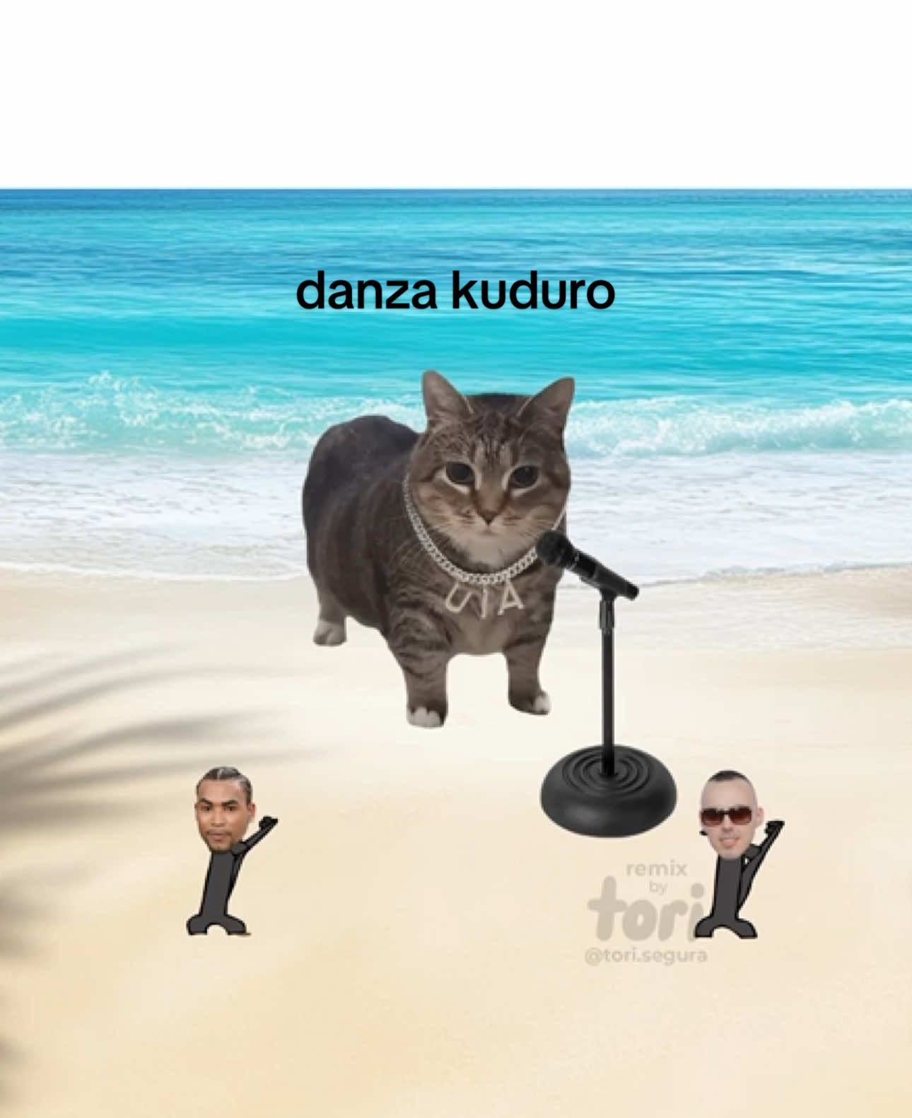 Danza a u u 🕺🕺 #cats #danzakuduro #lyrics #donomar #brainrot #foryou #oiiaiiooiiai 