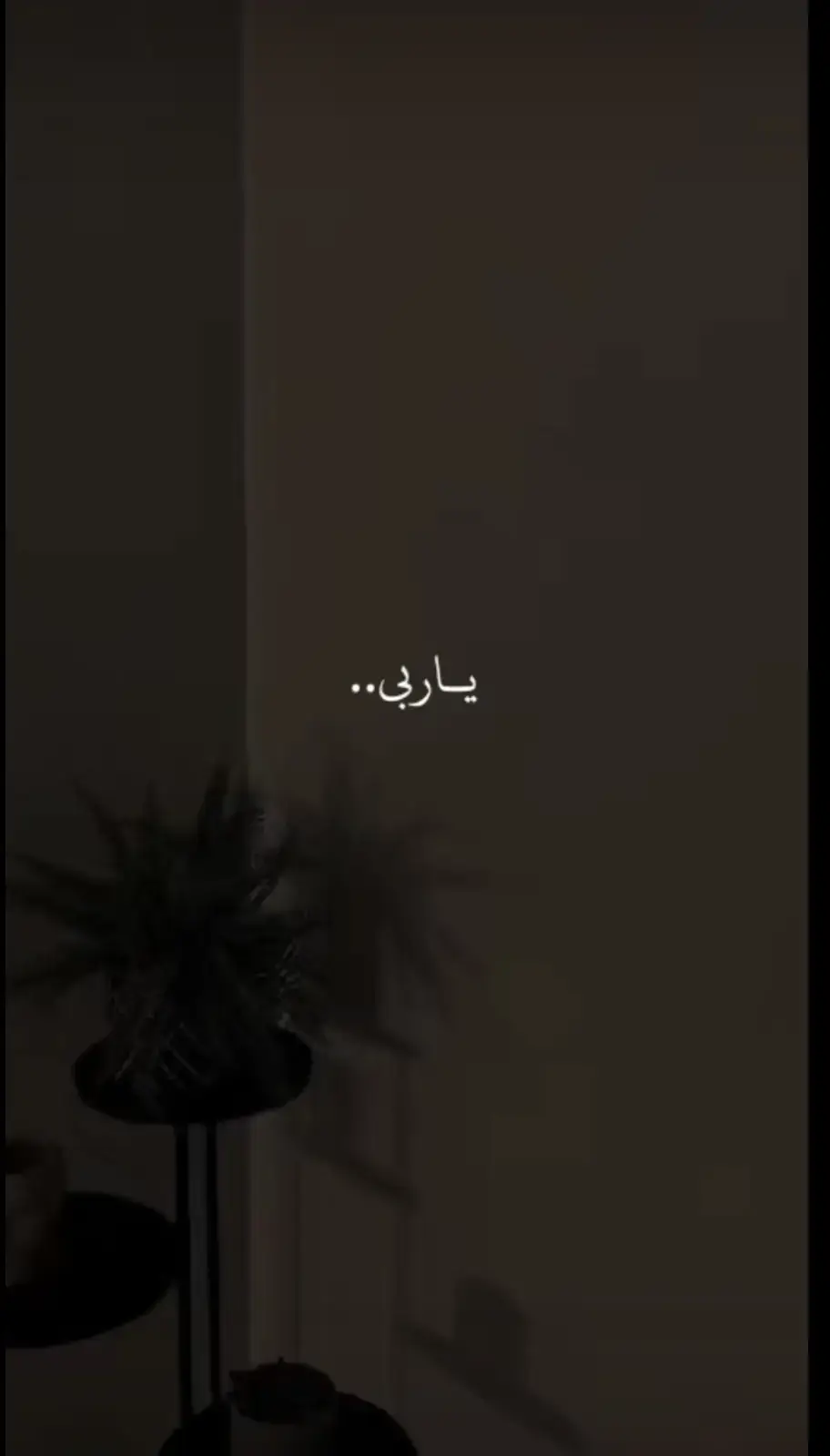 #اللهم_امين_يارب_العالمين 