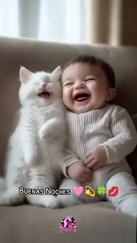Buenas Noches 🩷💫🍀💋#bienasnoches #amor #gatitos #bebes #risas #vida 