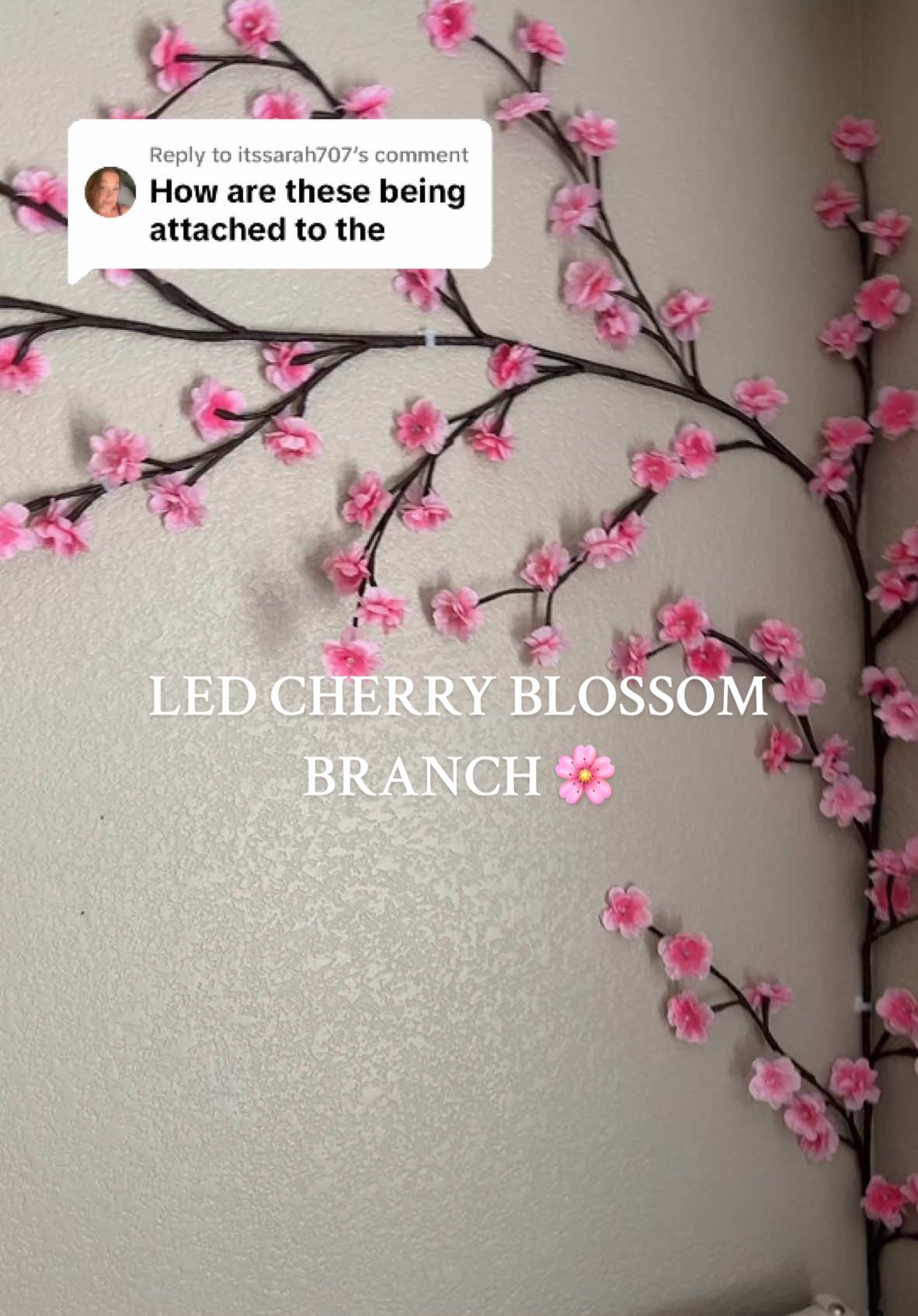 Replying to @itssarah707 the branch is still holding up strong 🌸💕 #cherryblossom #cherryblossomtree #ledtree #treebranchlights #bedroomdecor #cherryblossomlights 