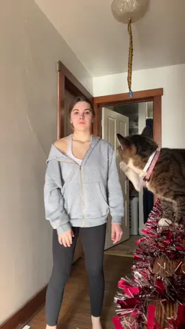 #fypシ゚ #viral 
