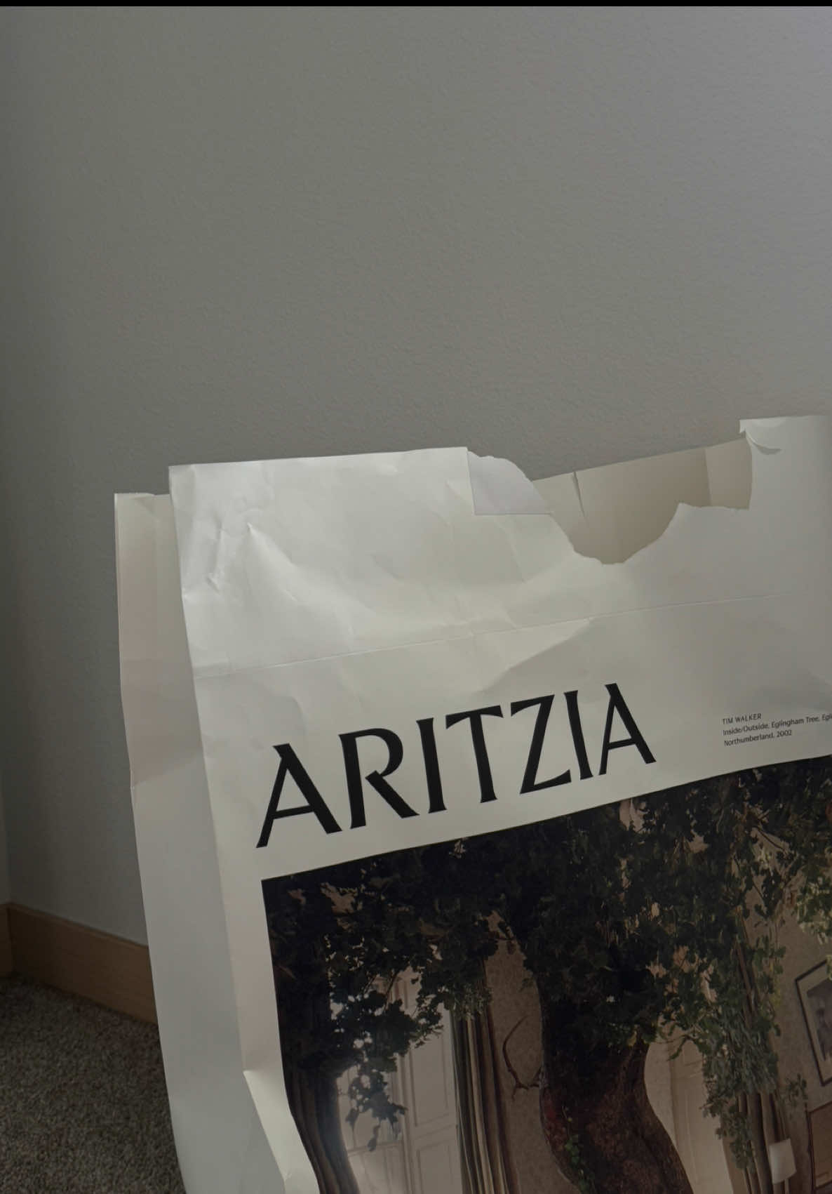 i fear i’m obsessed @Aritzia the hype is real #superpuff #aritzia #aritziahaul #unboxing 