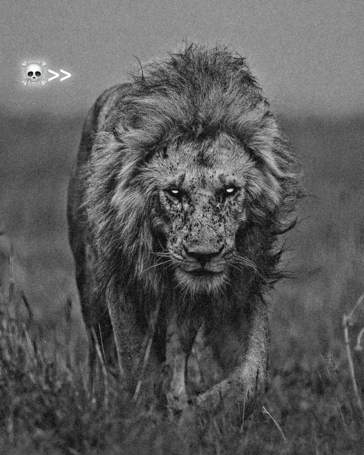 #كرة_القدم_عشق_لا_ينتهي👑💙 #كرة_قدم #ترند #الشعب_الصيني_ماله_حل😂😂 #fyp #follow 