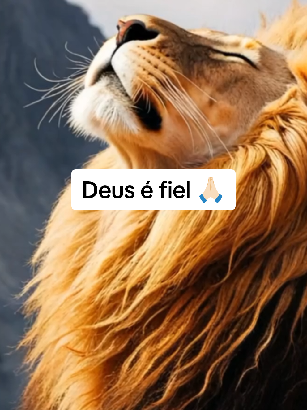 Ter paciência é uma virtude. Confie 🙏🏻  . . #deus #yeshua #motivation #mensagemmotivacional #sexta #boanoite #mensagemdodia #paciencia #jesusteama #pensamentododia #reflexão #gratidao 