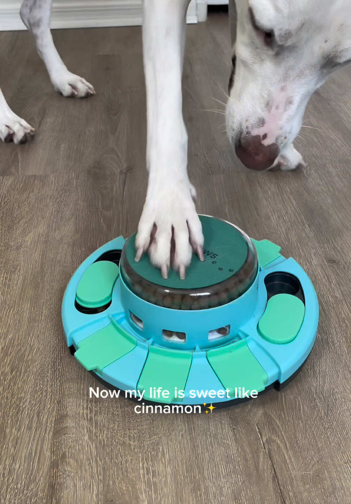 This Dog Nail File Toy is a great alternative if your dog hates the nail clippers. You can shop our small business on Amazon or with the link in our bio. 🐶🐾  #dognailclipping #dognailtrim #dog #doglover #pets #dogowner #slowfeeder #dogenrichment 