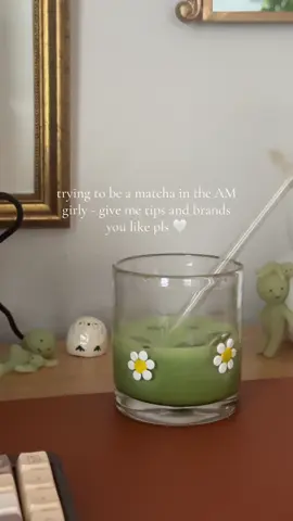 matcha recs pls 🤍🤍 #matcha #matchalatte #matchatok #matchalover #matcharecipe 