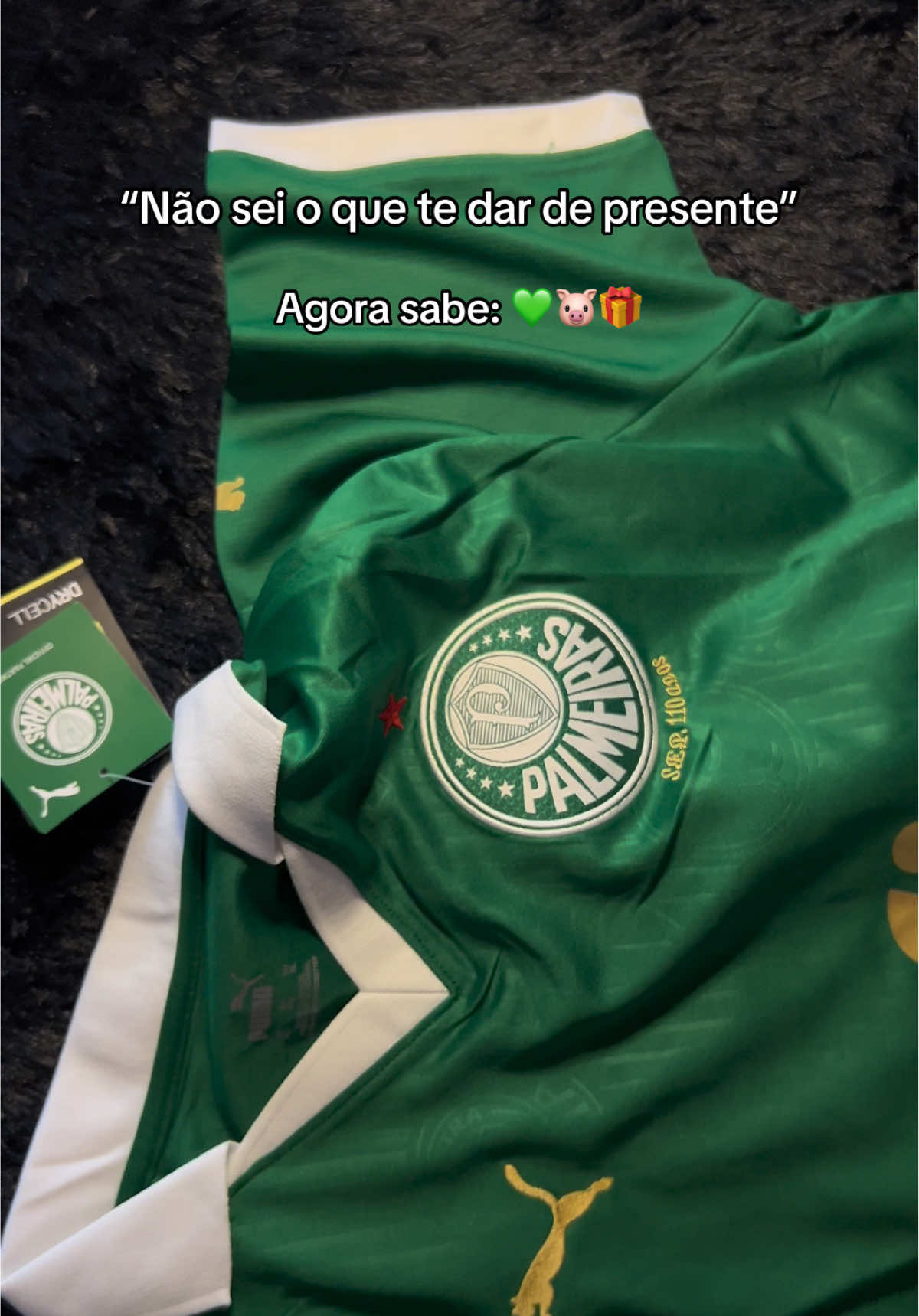 Aceita? 🎁💚 #futebol #camisadetime #palmeiras #foryou 