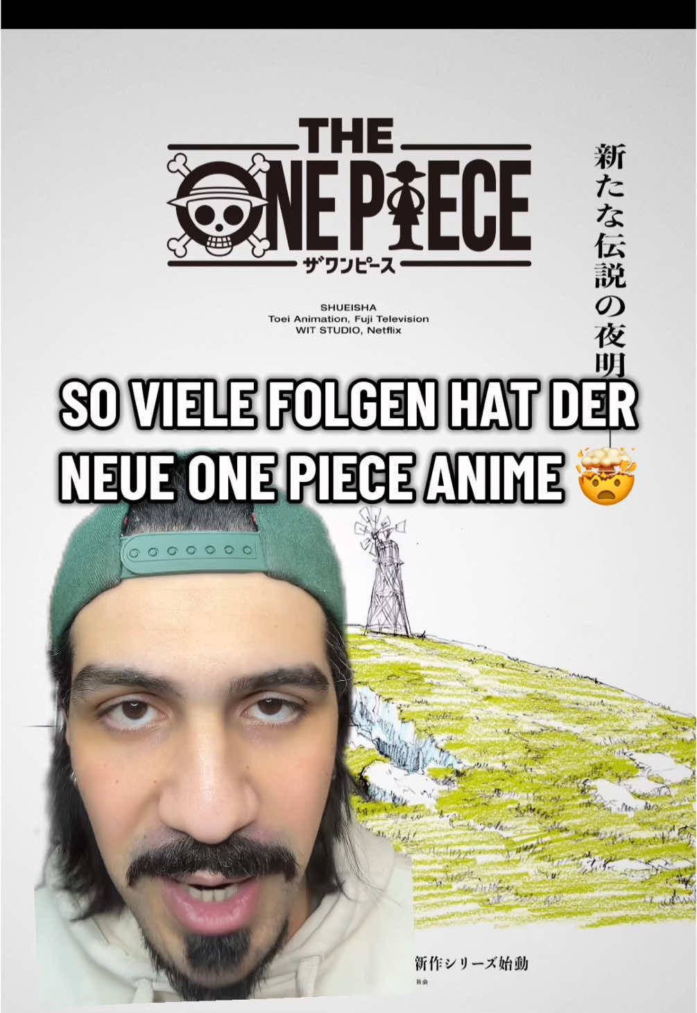 Wer freut sich schon drauf? #onepiece #animeedit 