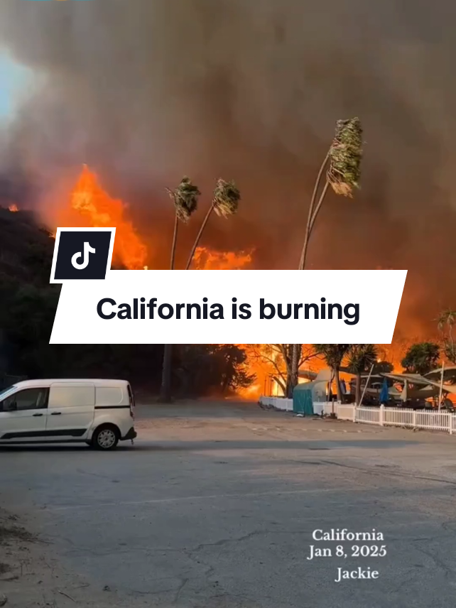 California is burning 🥵🥵 | lose Angeles is burning | burning is everything is burning 🥵🥵  wildfires is every side | #californafire #wildfire #california #loseangeles #holl city is in wildfire #prayforcalifornia 