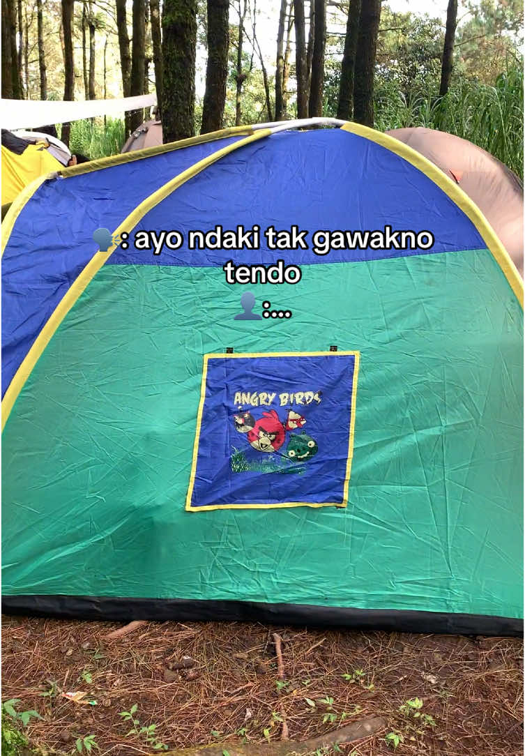 untiren ndase jii #angrybirds #tenda #tendaanak #pendakigunung 