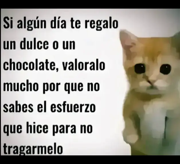 lo juro  #frijoles #hola #Love #amor #fpyシ #fyppppppppppppppppppppppp #ponmeenparatitiktok #ponmeenparatitiktokculero #wlw #🏳️‍🌈 #expresar 