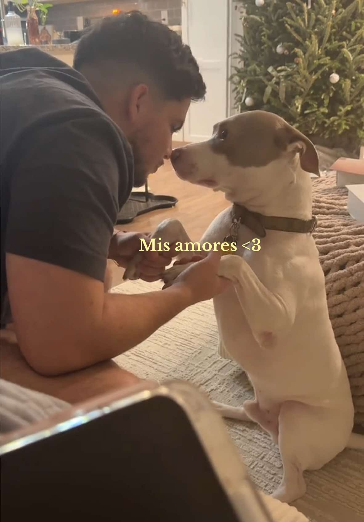 Jajajjaja me van a 😵 pero que se puede hacer jajajajajja