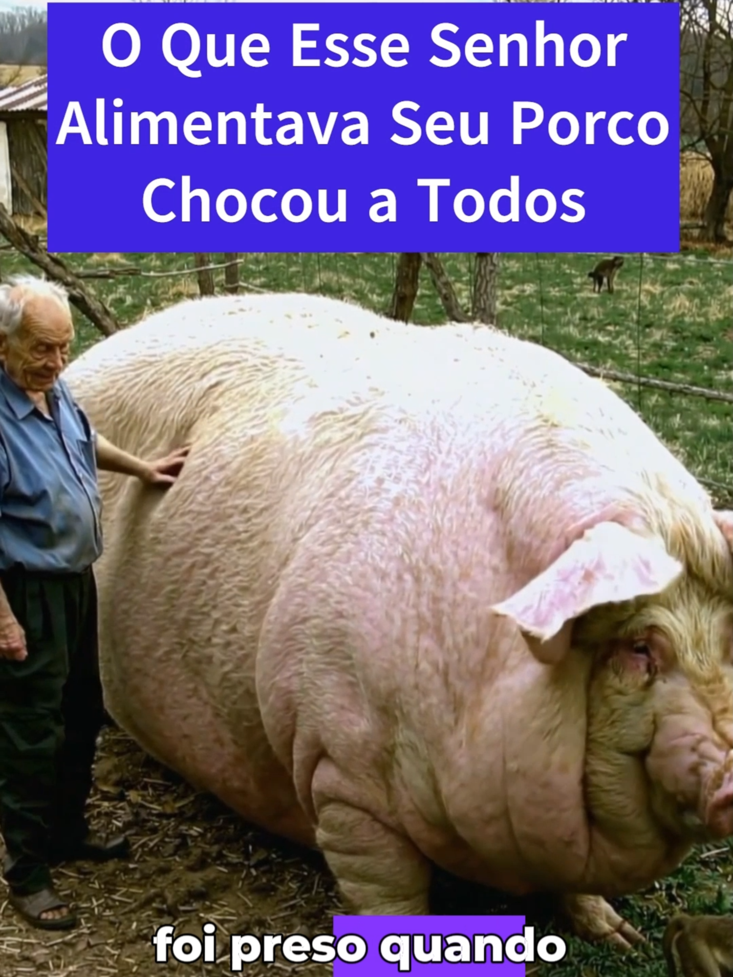 O Que Esse Senhor Alimentava Seu Porco Chocou a Todos #fatos #historias #fatoscuriosos