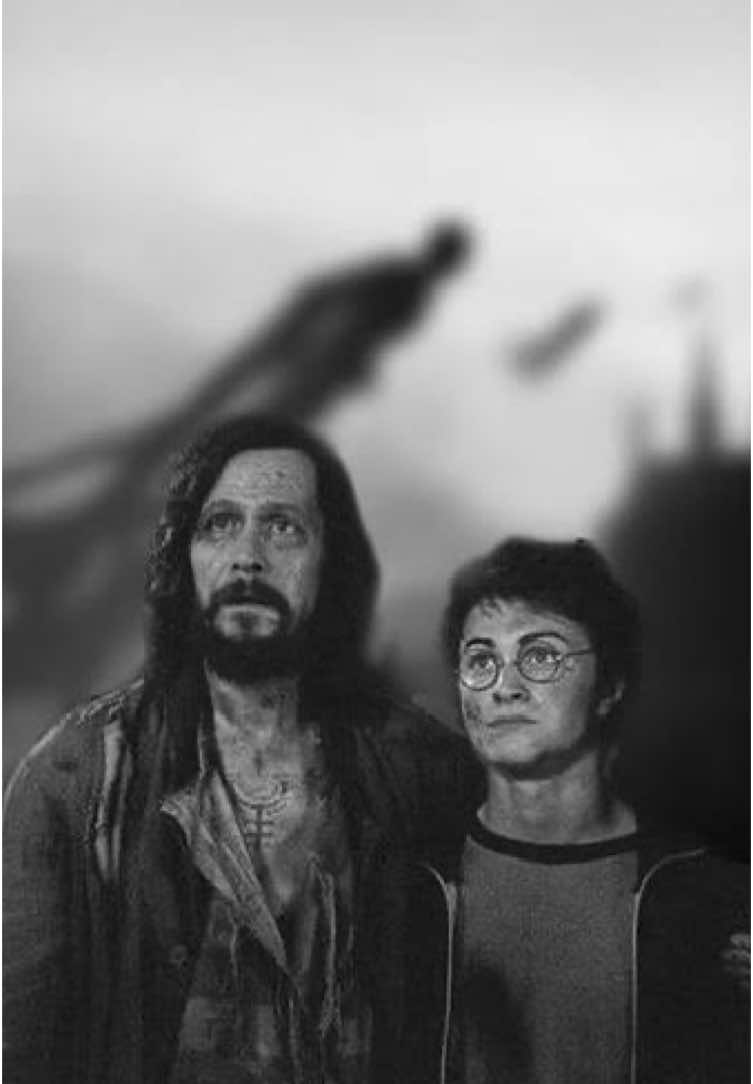 “Um adeus que ecoa na eternidade… 🌟✨ A conexão entre Harry e Sirius é a prova de que o amor supera até as maiores perdas. #HarryPotter #SiriusBlack #pottery  