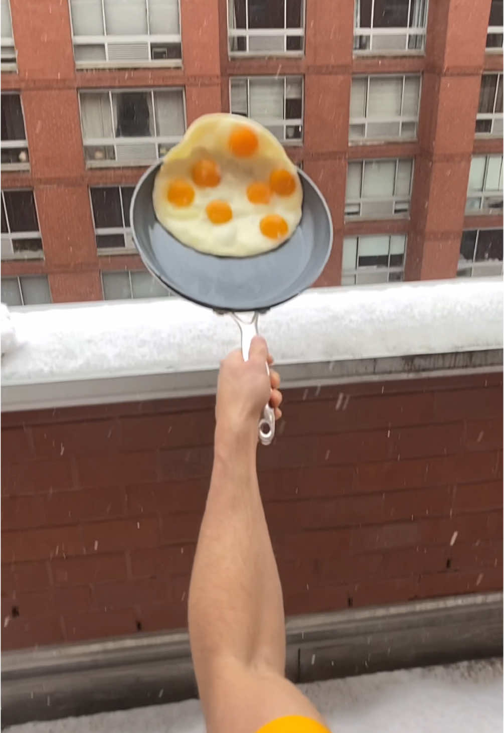 Winter or spring egg flip? What type of egg freak are you? #egg #eggs #asmr #oddlysatisfying 