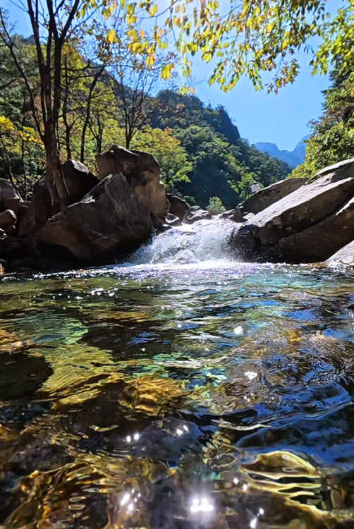 Calm valley ✨💦 #naturevibes #nature #valley #forest #forestlife #calm #calmdown #relax #soothing #livewallpaper #koreatravel #beautifulview 