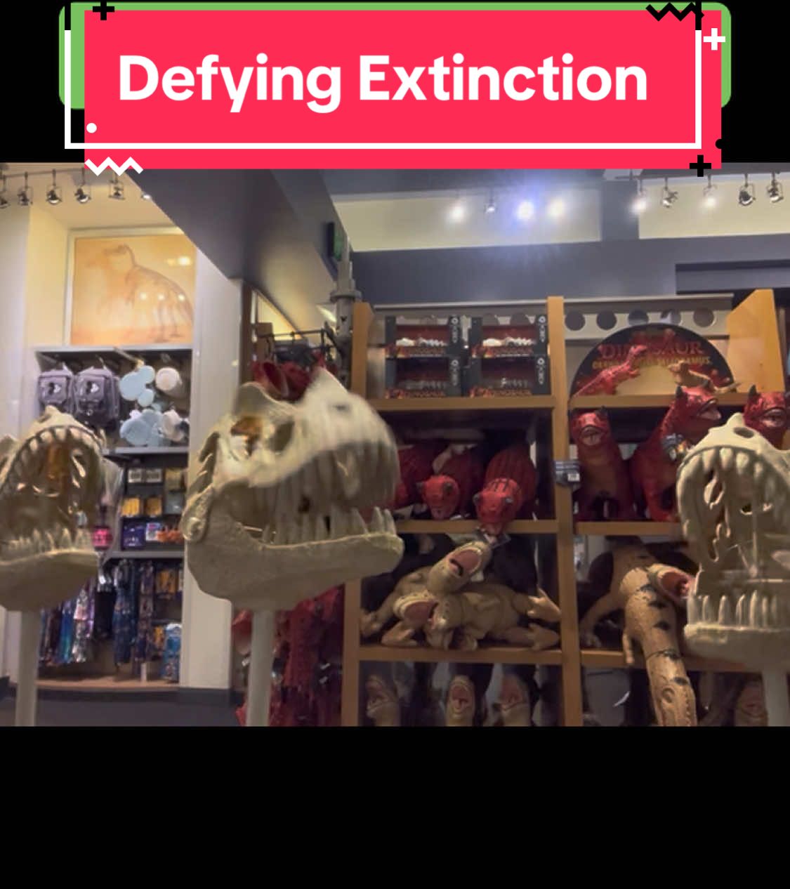 Lowkey those overtones are overtoning #dinosaur #wicked #skeleton #extinction #defyinggravity #disneyworld #dinoland #elphaba #glinda 
