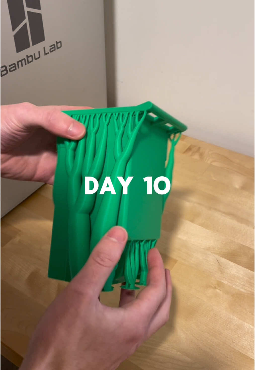 3D Printing Everyday for 365 Days  #stem #3dprinting #organization #3dprint 