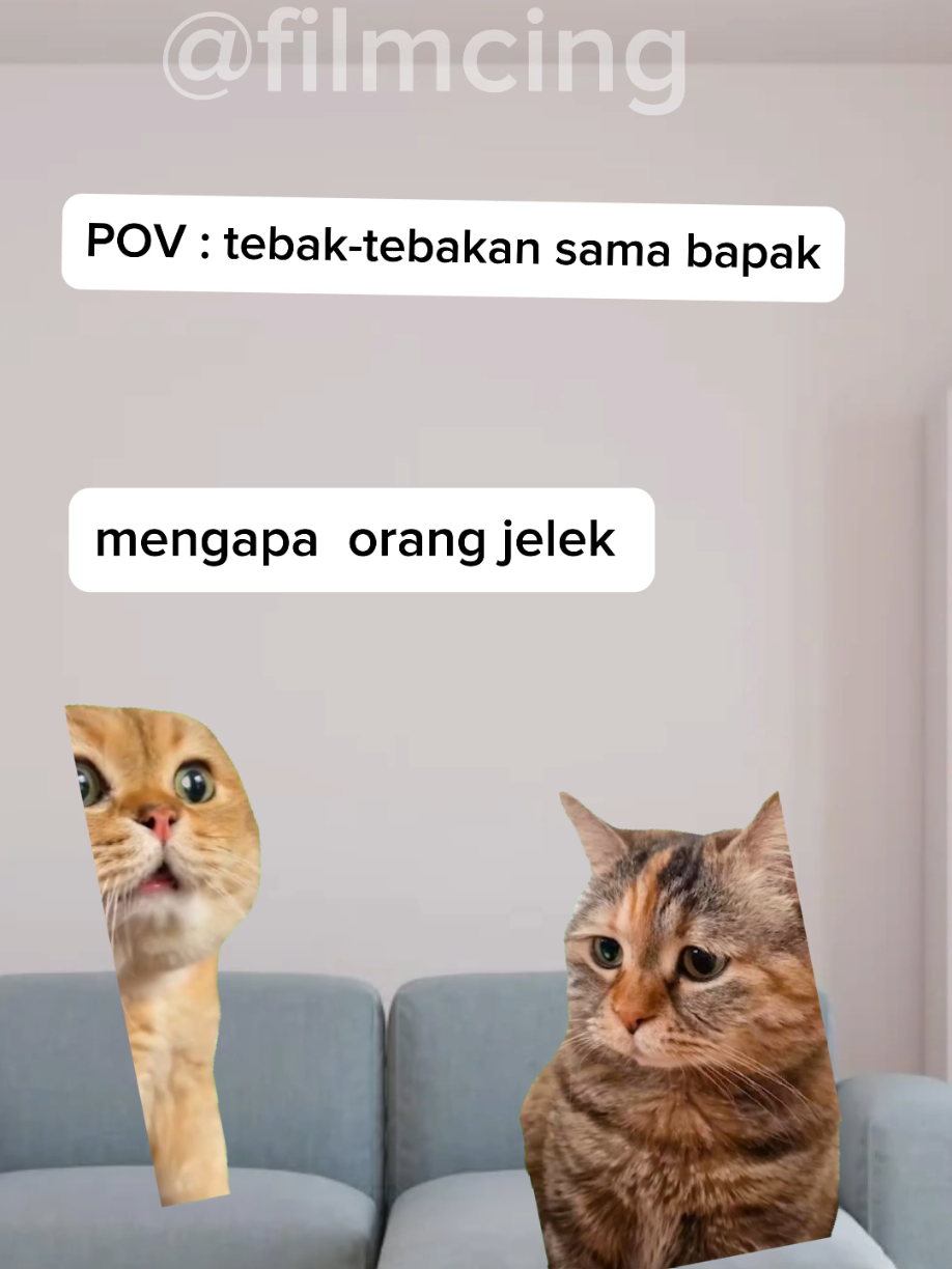 awas jgn sampai ketawa😭 #kucingmeme #memekucinglucu #memecat #jokesbapackbapack 