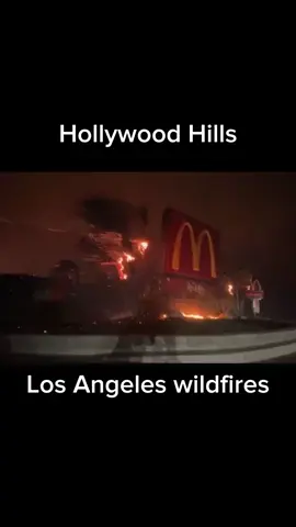 Parte 37 In January 2025, #LosAngeles faced devastating wildfires, including the Palisades and Hurst, and Eaton #fires. Fueled by severe Santa Ana winds and extreme drought conditions, these fires caused widespread destruction, evacuations, and loss. Witness the raw power and impact of nature in this dramatic footage on The Nature's Symphony.