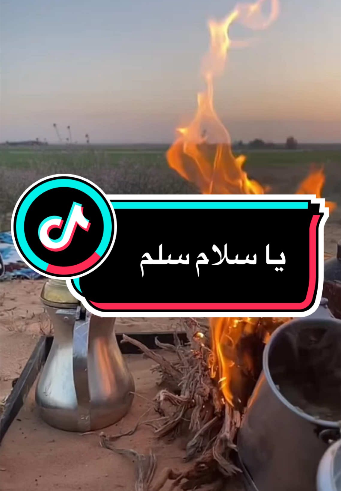 جديد سفر الدغيلبي #شيلة_سفر_الدغيلبي_الجديدة #you #youtube #explore #ekspresikandengancapcut #السعوديه #اكسلبورر_explore 