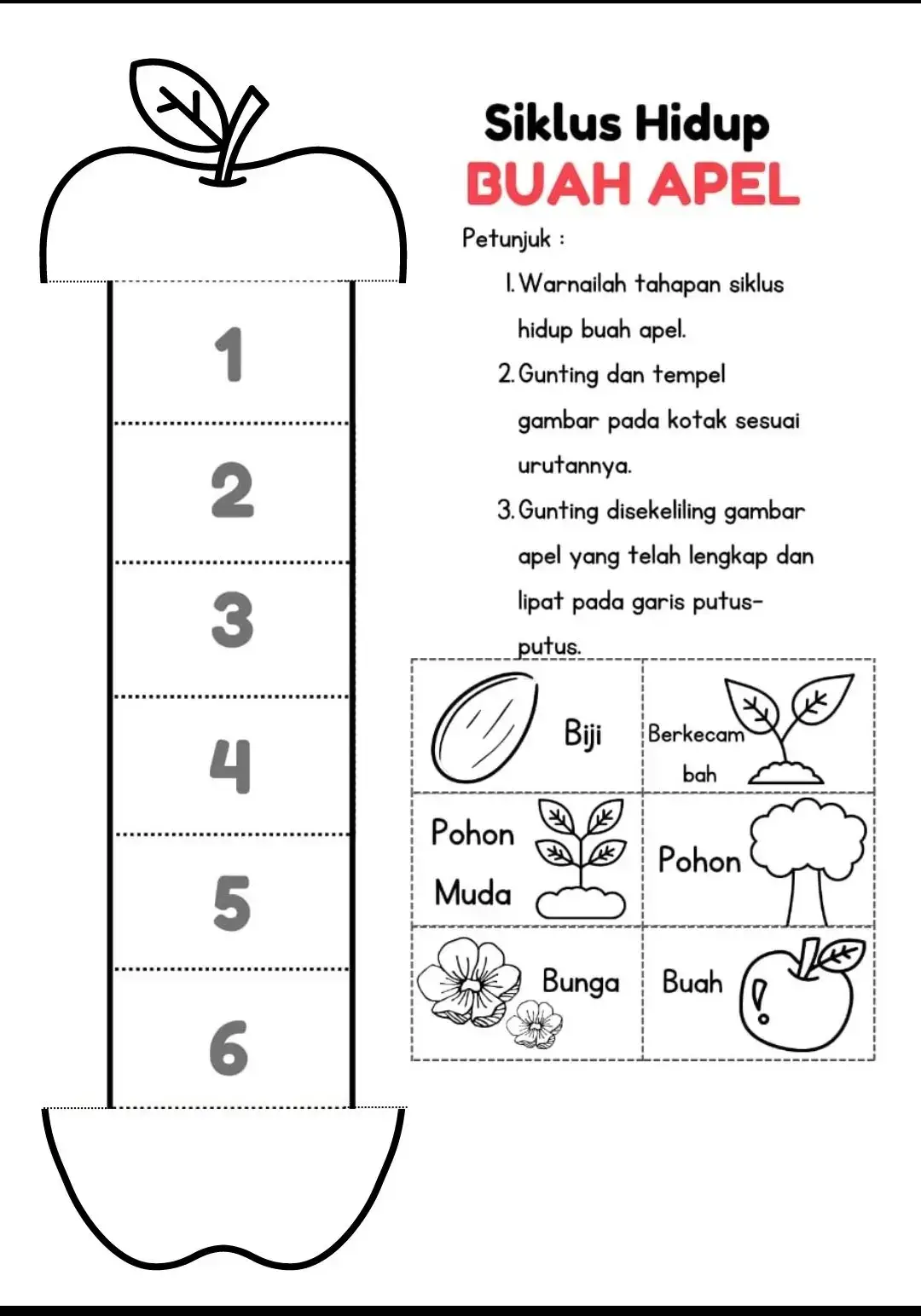 LKPD IPAS KELAS 3 #LKPD #lkpdkelas3 #lkpdkelas3sd #lkpd #lkpdipas #lkpdipaskelas3 #lkpdipassd 